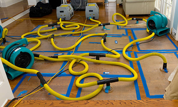 Professional Crawl Space Water Removal technician working in Marne, MI